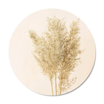 Muurcirkel Pampas - Dutch Sprinkles