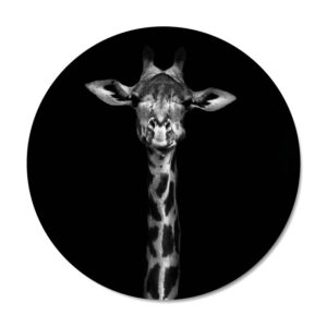 Mini muuricirkel Giraffe - Dutch Sprinkles