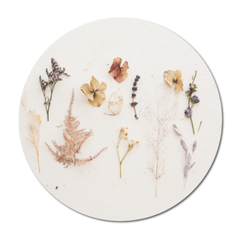 Muurcirkel Droogbloemen | Dutch Sprinkles