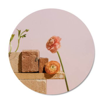 Productafbeeldingen-Muurcirkels-Ranunculus