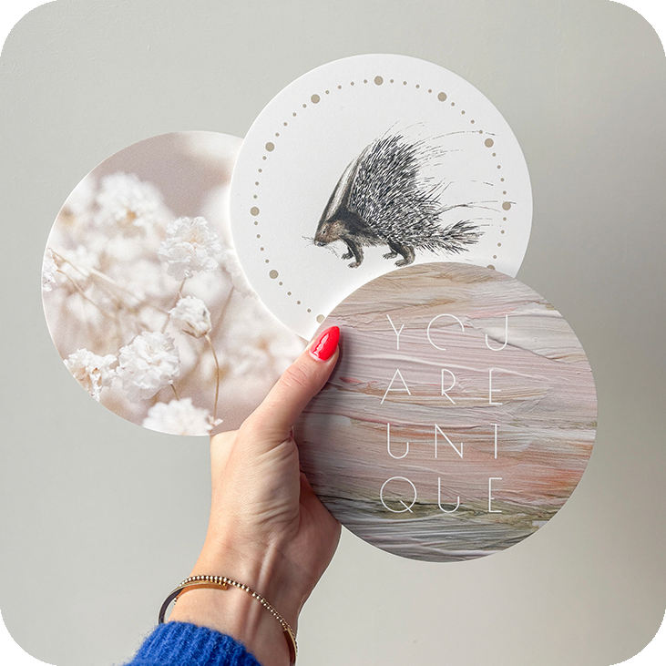 Mini’s set maand januari 2026 ronde hoeken