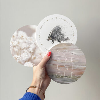 productafbeelding mini's set januari '26 bewerkt