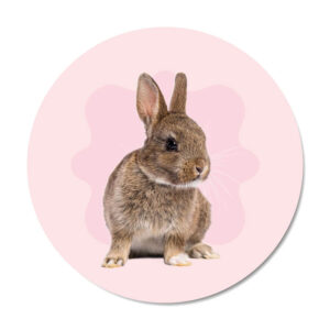 Productafbeeldingen-mini maart Bunny
