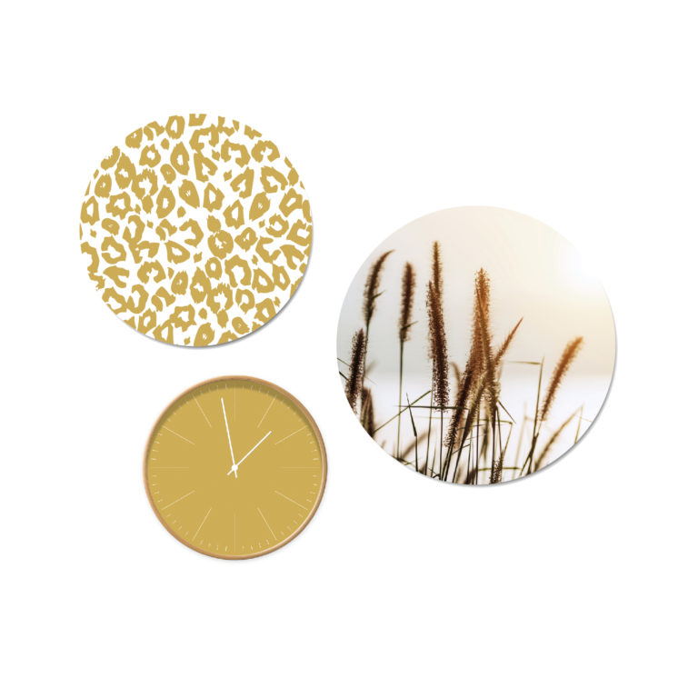 Set Reed